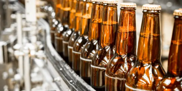 Beer bottles moving along a conveyor belt