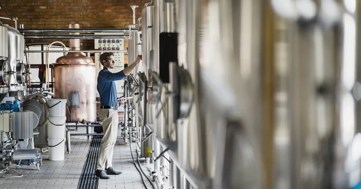 Man in brewery looking at equipment